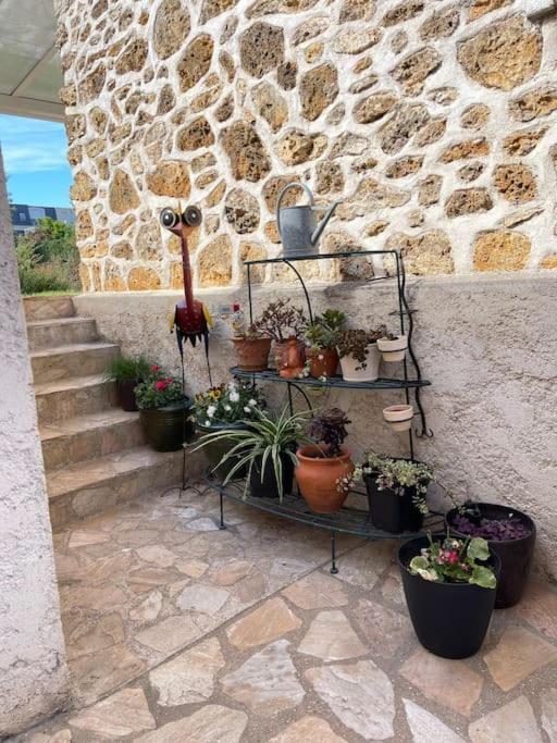 «  La Petite Maison » ....Des Grands Espaces... Saint-Maur-des-Fossés Buitenkant foto